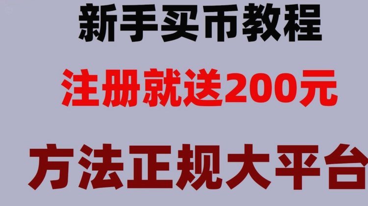 选购便利套的全面指南