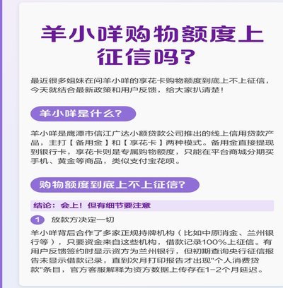 羊小咩额度违规套取的风险与后果