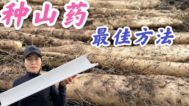 白条套取现金最佳方法 取款